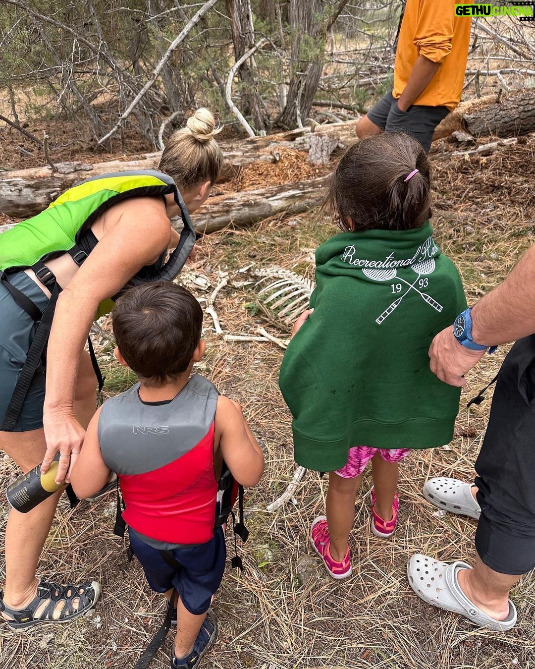 Mindy Kaling Instagram - Montana has it all. River rafting, hiking, The Blackfoot River, campfires, s’mores and the full remains of a deer skeleton. You could not ask for more.