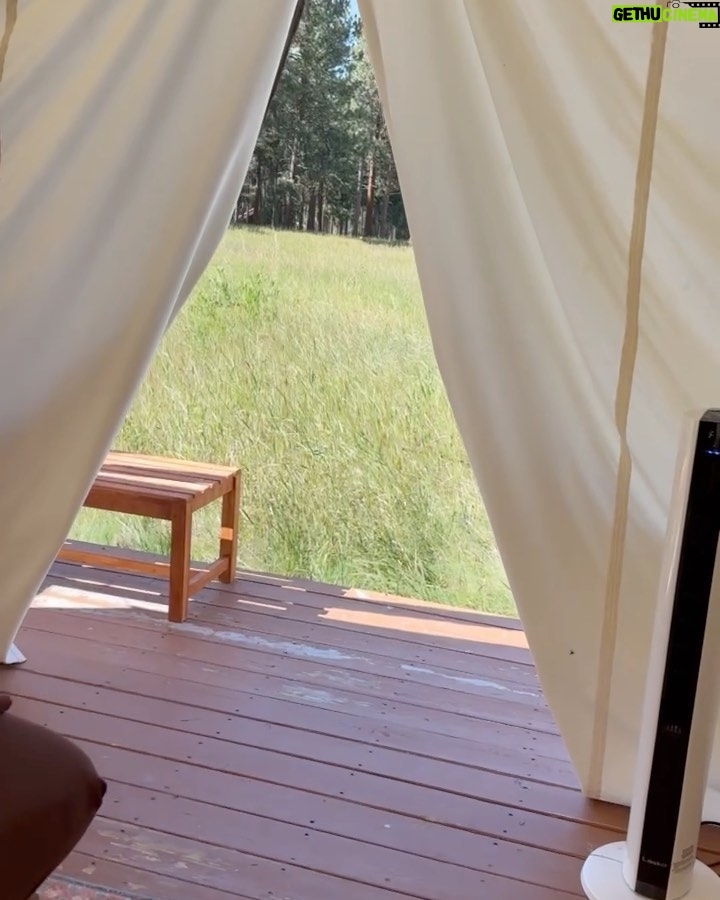 Mindy Kaling Instagram - Montana has it all. River rafting, hiking, The Blackfoot River, campfires, s’mores and the full remains of a deer skeleton. You could not ask for more.