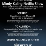Mindy Kaling Instagram - I love open casting calls because it allows my company, @kalinginternational to give opportunities to talented actors who don’t have access to us. It’s how we met the incredible @maitreyiramakrishnan for @neverhaveiever. If you fit the criteria above, please reach out to the email listed. @ikebarinholtz @davidstassen and I have been waiting so long to make this announcement. We LOVE this role and we cannot WAIT to find the special person to play him. But it’s all happening very fast, and this won’t be around for long, so please spread the word! xoxoxo MK