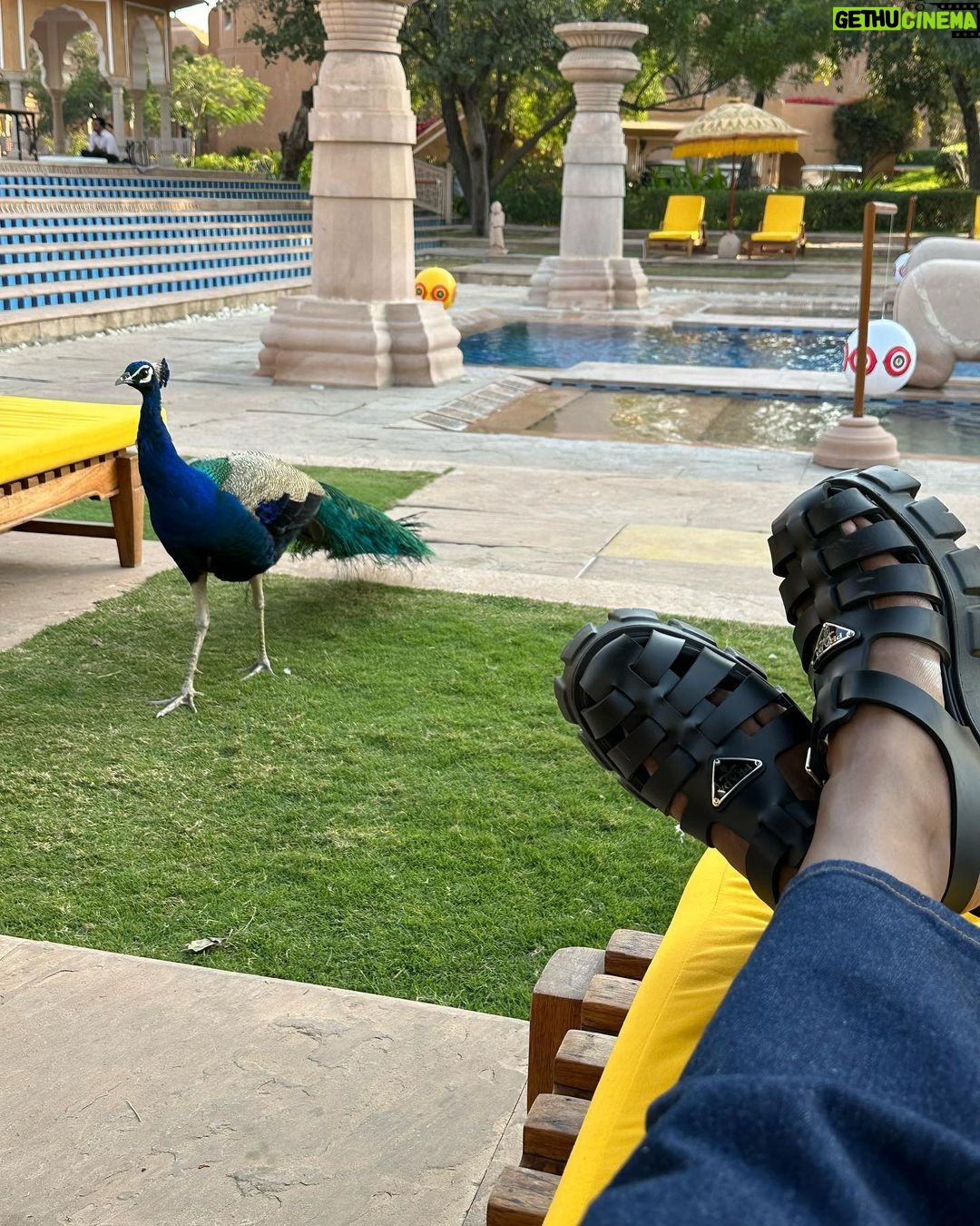 Mindy Kaling Instagram - Swipe to see my new friend 🦚