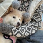 Minnie Instagram - 샐리와 나의 하루☺️🐾💕