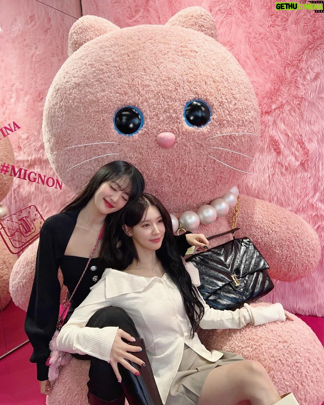 Minnie Instagram - 댕자의 제이에스티나 팝업 스토어 나들이ʕっ•ᴥ•ʔっ 여러분도 많이 놀러오세요~🐾🐱💕