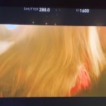 Minnie Instagram – X-FILE