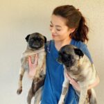 Miranda Cosgrove Instagram - Meet Harold and Maude! I found these two potatoes wandering the streets together and have been fostering them ever since. They’re looking for their forever home through the amazing @loveleorescue. If you don’t have any cats and you want a lot of love in your life head over to @loveleorescue and fill out an adoption application 💕