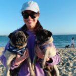 Miranda Cosgrove Instagram - Meet Harold and Maude! I found these two potatoes wandering the streets together and have been fostering them ever since. They’re looking for their forever home through the amazing @loveleorescue. If you don’t have any cats and you want a lot of love in your life head over to @loveleorescue and fill out an adoption application 💕