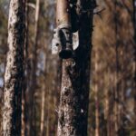 Misha Collins Instagram – This is what Irpin forest looks like. Just 26 kilometers from Kyiv. It was occupied by the russian army during the first month of the war. 15,000 russian soldiers, ammunition depots, and artillery stations took part in the shelling of  Irpin and nearby villages.

The Ukrainian military liberated Kyiv Oblast at the end of March 2022, but the forest was partially demined only 2 weeks ago. Only one path is walkable, only when accompanied by de-miners, with little room for maneuvering. Our ambassador Misha Collins, and First Deputy Prime Minister of Ukraine, @svyrydenko.official , were the first to visit this once-inhabited place.

“In Ukraine, there are thousands of square acres of land contaminated with landmines. Many of them are on agricultural land, but they are also found in forests, on roads, and in homes, in children’s toys, pianos, and refrigerators. The humanitarian demining operation across Ukraine is a complex and large project. I have worked with @gilesduley and the @legacyofwarfoundation in Laos for the last couple of years. Where the demining program has been going on since the 70s. However, even today, tragedies happen there every day — children lose limbs because of mines. This will be a massive problem for Ukraine for a very long time. But we can save tens of thousands of lives by implementing the demining program as quickly and efficiently as possible,” said Misha Collins.

Support Ukrainian deminers and Misha Collins’ fundraiser for demining vehicles.

Photo: Andriy Ushchak

#united24 #thepoweroffreedom 

Так виглядає ірпінський ліс. Всього за 26 кілометрів від Києва. В перший місяць війни його окупувала російська армія. Тут розміщувалися 15 000 військових, склади з боєприпасами та артилерійські установки, з яких обстрілювали Ірпінь та прилеглі села. 

Українські військові звільнили Київщину ще наприкінці березня 2022-го, але ліс частково розмінували тільки два тижні тому. Ходити тут можна лише однією доріжкою, нікуди не звертаючи, і тільки у супроводі саперів. Наш амбасадор, актор Міша Коллінз, разом із першою віцепрем’єр-міністеркою України Юлією Свириденко стали першими, хто відвідав це колись живе місце.

Фото: Андрій Ющак