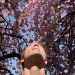 Misha Collins Instagram - The trees are much better-dressed than I am today. #treesofinstagram