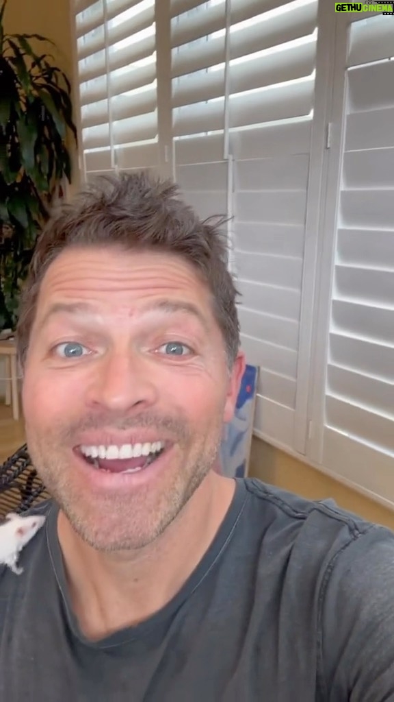 Misha Collins Instagram - My friend Bob has something important she wants me to tell you… Go catch up on #CWGothamKnights on @TheCW app, then tune in to an encore presentation of Gotham Knights on The CW TONIGHT at 9/8C! LINKS IN BIO
