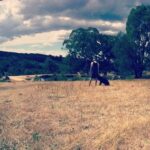 Mitchell Hope Instagram - Let's get lost again #adventuresofharveythefarmdog