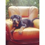 Mitchell Hope Instagram - The King in his throne