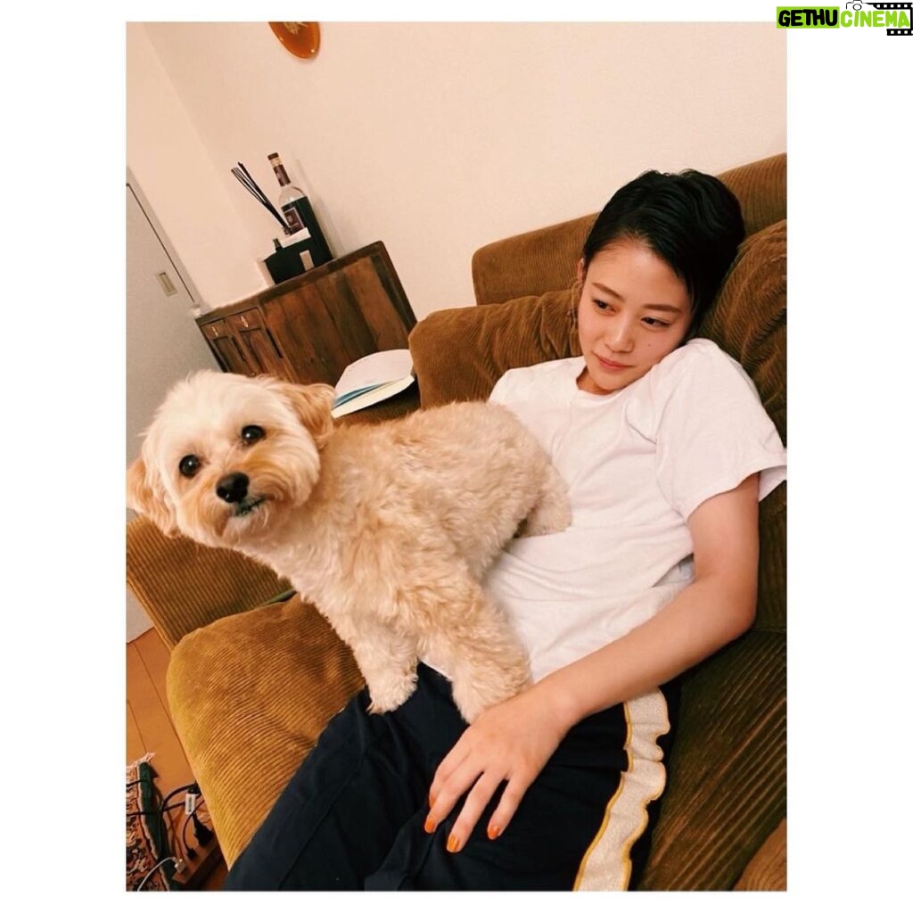 Mitsuki Takahata Instagram - 酔っぱらいはおとなしく、 お犬様の椅子になります。 （たまにはベッドにもなります）
