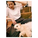 Mitsuki Takahata Instagram – 酔っぱらいはおとなしく、
お犬様の椅子になります。

（たまにはベッドにもなります）