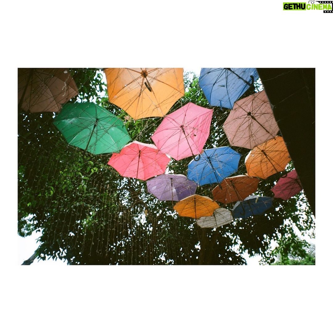 Mitsuki Takahata Instagram - いつか撮った傘の屋根。@ベトナム 今日は久々に外の空気を少しだけ吸えた。 家の前の散りかけのサクラが花吹雪みたいで、 ああ、毎年当たり前のように感じてた春の空気、 こんなに素敵だったのね、君。って 魅力を再発見。 最近はハッとさせられる事が多いです。 ネガティブのなかのポジティブを、 探して、掴み取って。 こりゃあ、編み物上手になっちゃうな〜🏡 #おうち時間