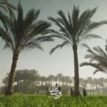 Mohamed Imam Instagram – #توكلنا_على_الله 💪🏼
الإعلان التاني لمسلسل 🔥🔥🔥 #كوبرا 🔥🔥🔥
——{{ على قناة MBC مصر و منصة شاهد 💣 }}——
#رمضان٢٠٢٤ إن شاء الله 🌙
#محمد_امام ⚡️#Mbc #Shahid
