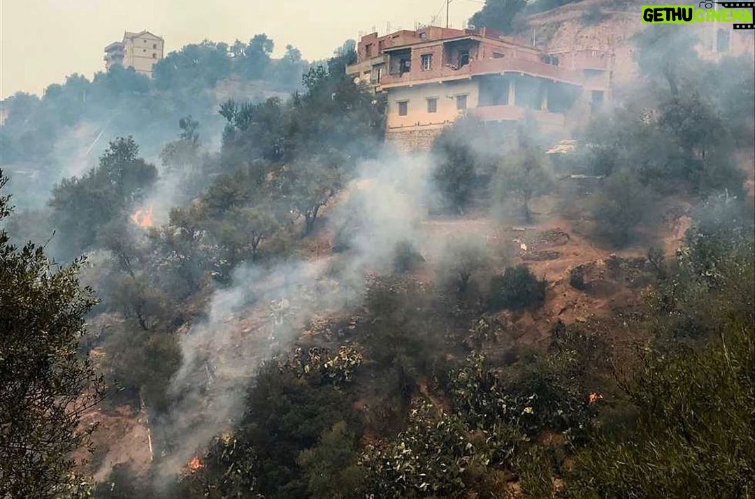 Mohamed Mamdouh Instagram - يارب احفظ الجزائر وشعبها الشقيق وخرجهم من المحنة دي على خير وبأقل الخسائر 🇩🇿