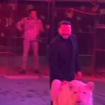 Mohamed Ragab Instagram –