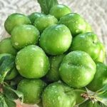 Mohsen Kiaei Instagram - صبح جمعه تون گوجه سبزی 😉🤪😋