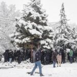 Mohsen Kiaei Instagram - یک سال از رفتنت گذشت ،سفید بودی مثل همین برف ،دلتنگم با حفره ای بزرگ در دلم . #محسن_کیایی #مادرانه❤️ #دلتنگی کردان