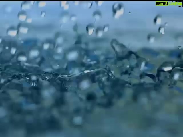 Mohsen Kiaei Instagram - ببار بارون شاید شسته شود اینهمه درد و رنج میهنم . زادروزت مبارک استاد ،خسرو آواز ایران سلامت باشی و سایه ات بر سر وطن مستدام . #استاد_محمدرضا_شجریان #همایون_شجریان