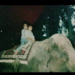 Mohsen Tanabande Instagram – .
من و مجيمون (مجتبي)برادر بزرگترم سال ٦٠شايدم ٦١مشهد 
كيا با اين فيل عكس دارن؟