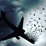 Mohsen Tanabande Instagram - . چه جواناني اسماعيل ميبيني؟ چه جواناني بسياري شان هنوز صورت عشق را بر سينه نفشرده اند