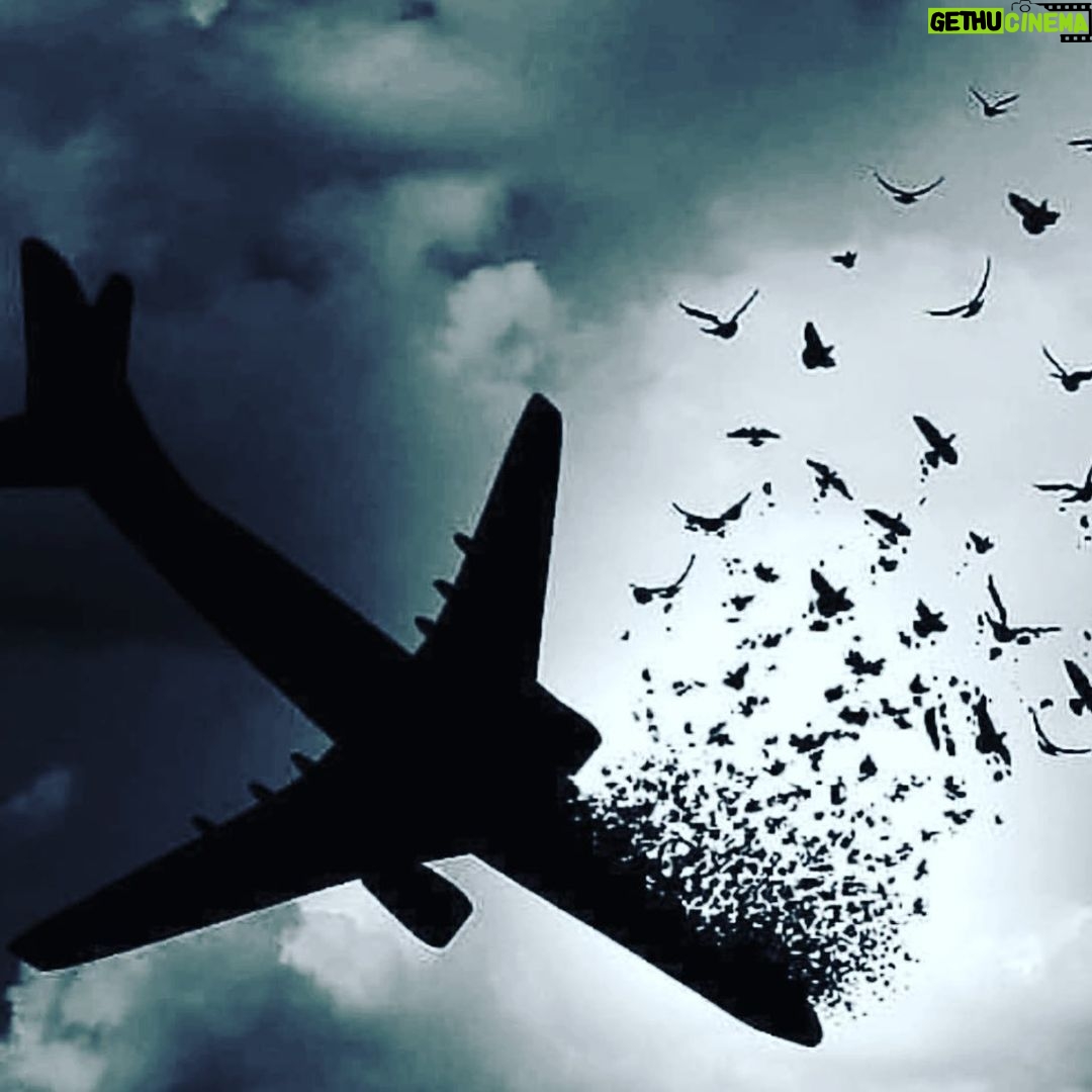 Mohsen Tanabande Instagram - . چه جواناني اسماعيل ميبيني؟ چه جواناني بسياري شان هنوز صورت عشق را بر سينه نفشرده اند
