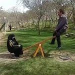 Mohsen Tanabande Instagram - . زندگي خوب يعني تفاهم و البته توازن