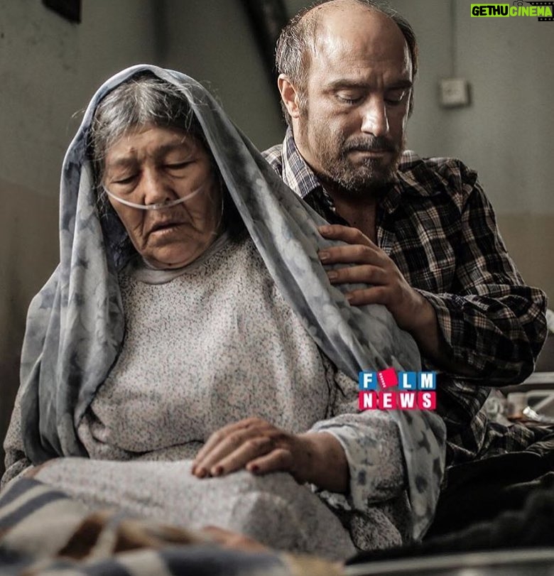 Mohsen Tanabande Instagram - . شكستن همزمان بيست استخوان فيلمي از جمشيد محمودي پذيرفته شده در فستيوال جهاني بوسان كره جنوبي