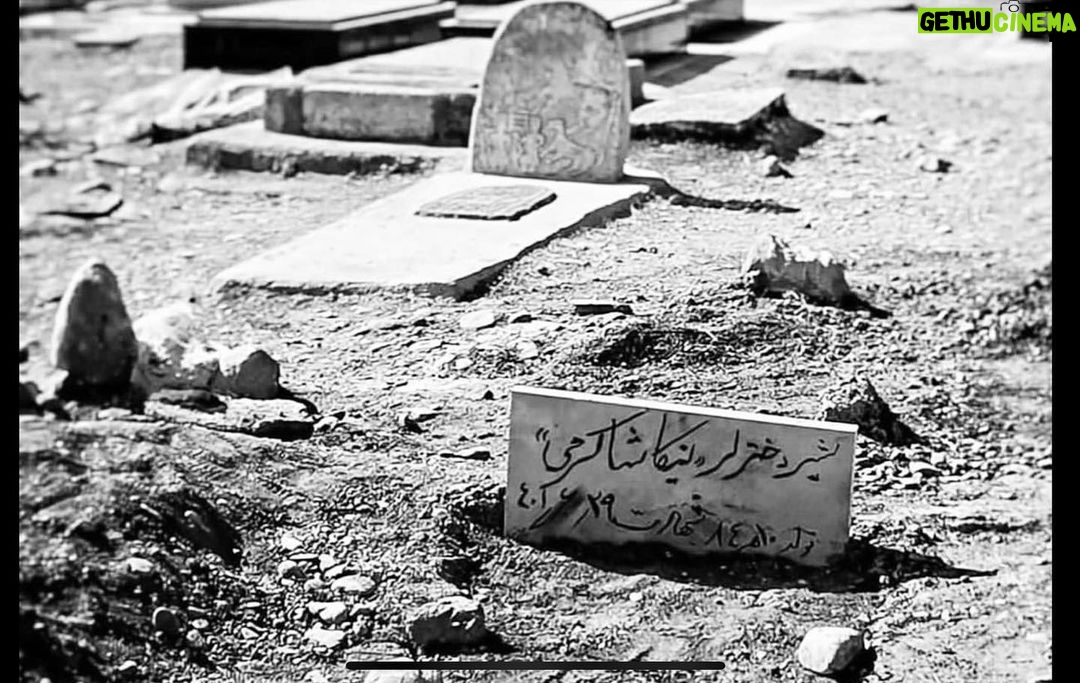 Mohsen Tanabande Instagram - . جگر گوشه سرزمين نيكا شاكرمي🖤