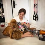 Monali Thakur Instagram - Aki is not a fan of going to the groomers but wants to look handsome- like always !! Found a sneaky way to groom him at home where he is most comfortable with a few treats 😉 The Dyson pet grooming kit has been a game changer for my best boy and I 🐾 @dyson_india #DysonIndia #DysonPetGroomkit #DysonHome #gifted #monali #monalithakur