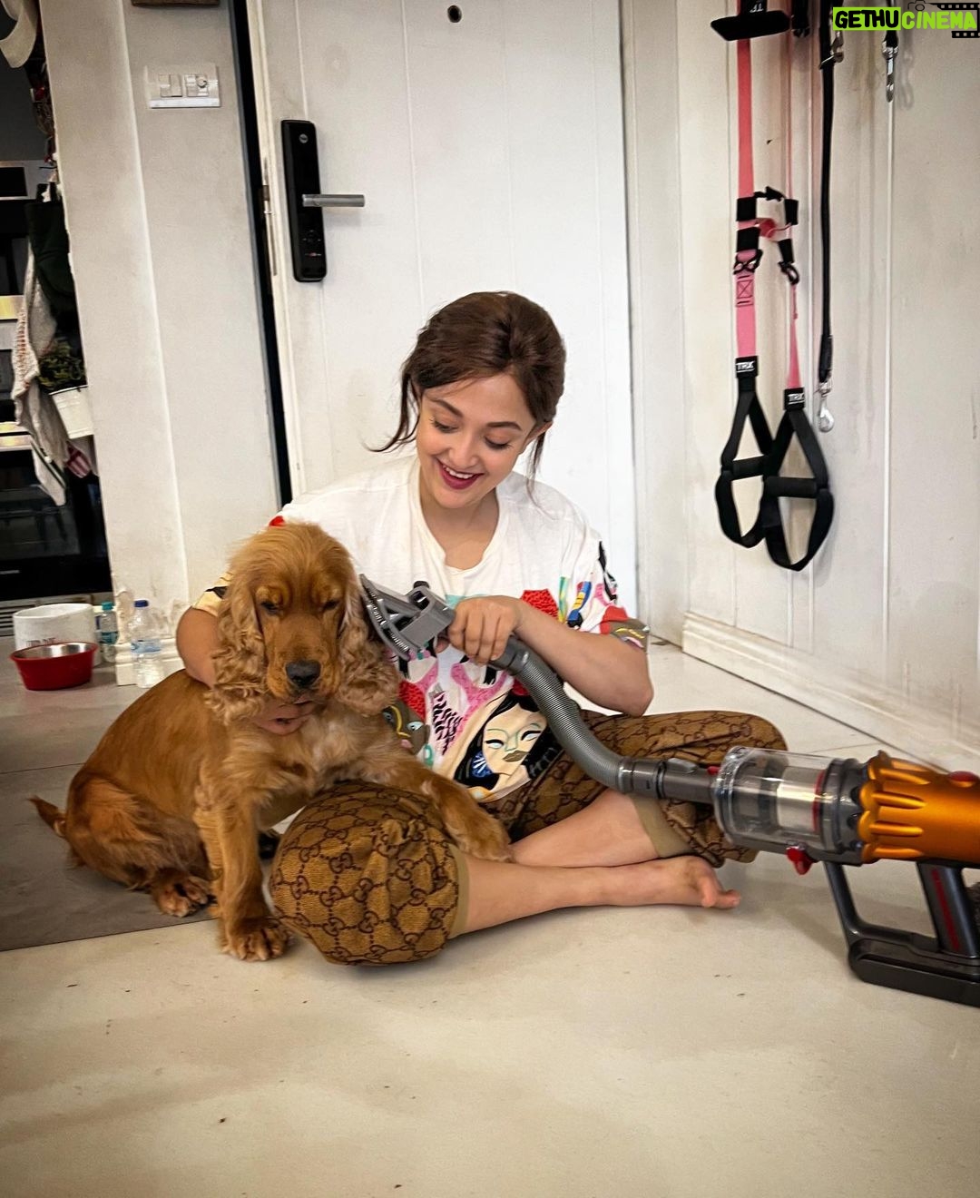 Monali Thakur Instagram - Aki is not a fan of going to the groomers but wants to look handsome- like always !! Found a sneaky way to groom him at home where he is most comfortable with a few treats 😉 The Dyson pet grooming kit has been a game changer for my best boy and I 🐾 @dyson_india #DysonIndia #DysonPetGroomkit #DysonHome #gifted #monali #monalithakur