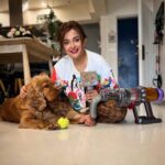 Monali Thakur Instagram - Aki is not a fan of going to the groomers but wants to look handsome- like always !! Found a sneaky way to groom him at home where he is most comfortable with a few treats 😉 The Dyson pet grooming kit has been a game changer for my best boy and I 🐾 @dyson_india #DysonIndia #DysonPetGroomkit #DysonHome #gifted #monali #monalithakur