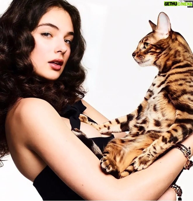 Monica Bellucci Instagram - ❤️DEVA and the Cat @d.casseluxxi in @vanityfairfrance for a special jewelry @cartier Photo @nikhartleyphoto Styled by @norabordjah Dress @dior Hair @olivierdevriendt Mua @tizianaraimondo Image Agent @karinmodels_official #devacassel#vanityfair#france#cartier#cartierjewelry#dress#dior#photography#nikhartley