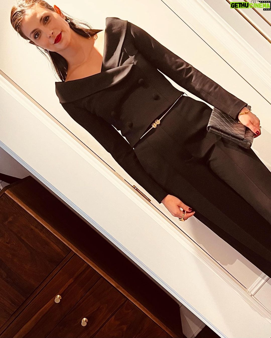 Morena Baccarin Instagram - Wonderful night celebrating @rescueorg and all they do.