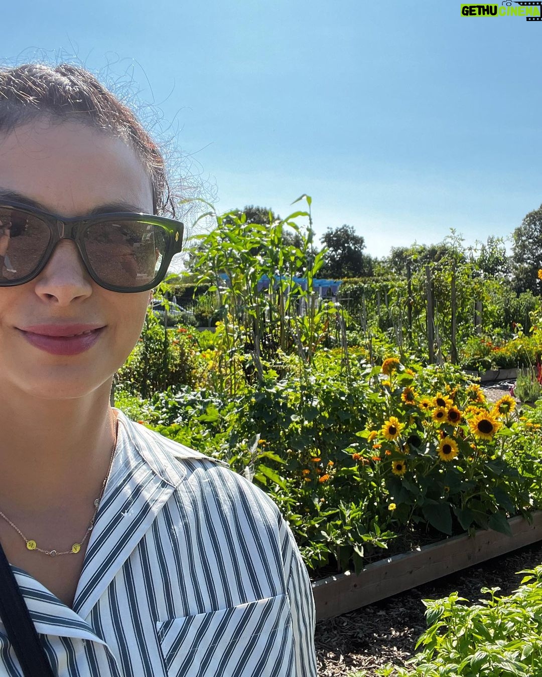 Morena Baccarin Instagram - Weekend vibes. 🌻