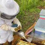 Morgan Freeman Instagram - Great job to the @sankofafarms family for amplifying the next generation of beekeepers. Well done @akeemandthebees! #beekeeper vc: @sankofafarms