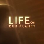 Morgan Freeman Instagram - Rise. Fall. Survive. This is the story of Life on @OurPlanet @Netflix, October 25.