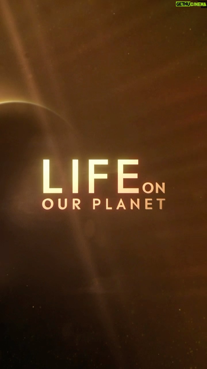 Morgan Freeman Instagram - Rise. Fall. Survive. This is the story of Life on @OurPlanet @Netflix, October 25.