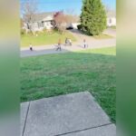 Morris Chestnut Instagram – Takes me back to when things were simple. I miss those days when the biggest thing you had to worry about was homework. Makes me smile to see kids are still outside together. 
#backintheday #outside #ridingbikes #childhood 

This is what it’s all about 🙌🏾❤️

(🎥 TT: tambrialajaun5)

#goodnews #kindness #kindnessmatters #houseofculture #houseofculturetv #hoctv #bekind