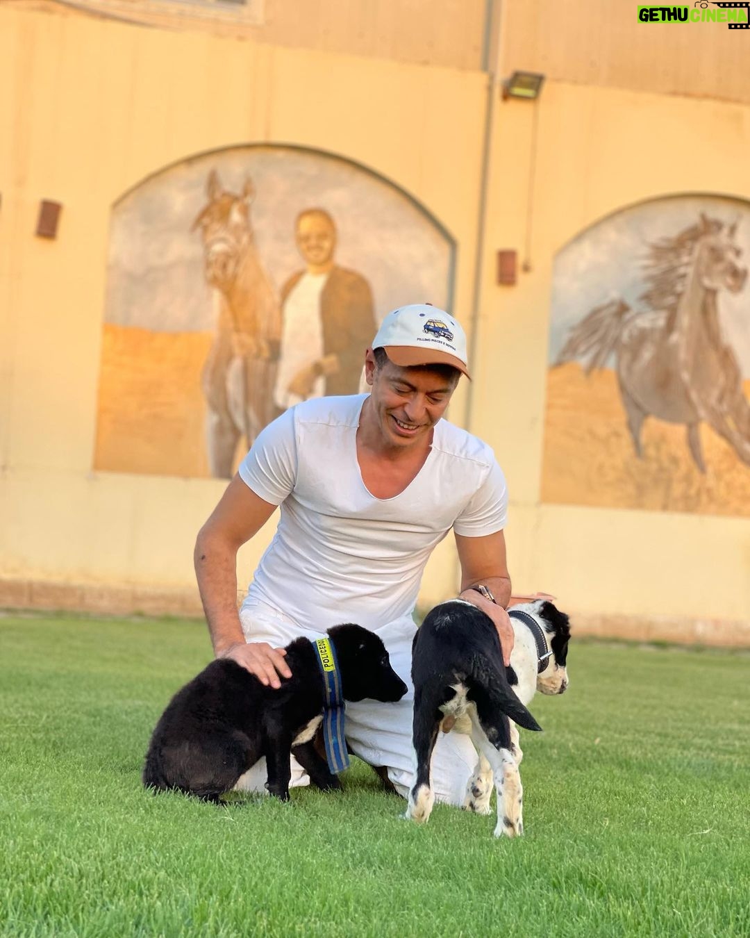 Mostafa Shaaban Instagram - Welcome my new guests Bondok & didda 😍😍