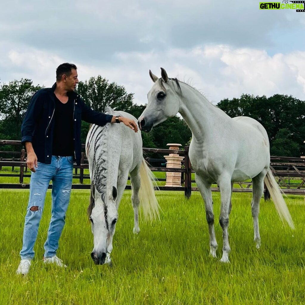 Mostafa Shaaban Instagram - With my 🐎 in #Belgium Heaven & Zamzam enjoying life at the horse heaven that is @privilegearabian