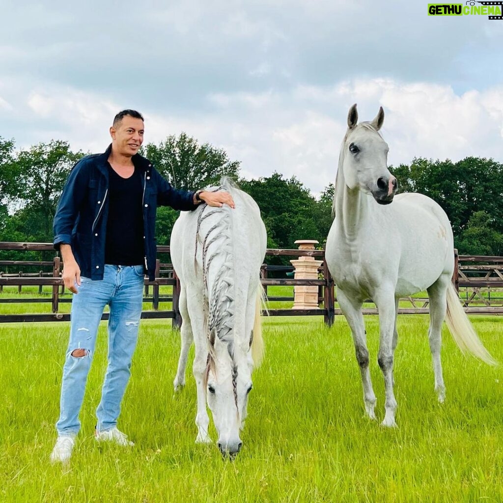 Mostafa Shaaban Instagram - With my 🐎 in #Belgium Heaven & Zamzam enjoying life at the horse heaven that is @privilegearabian