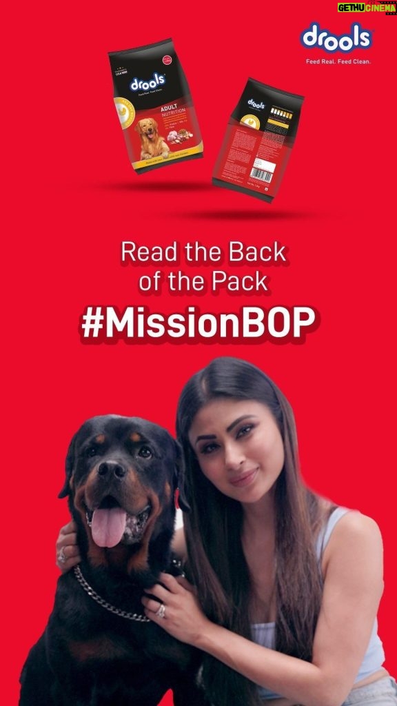 Mouni Roy Instagram - Do you know the secret to your furry buddy’s health and happiness? It’s knowing what goes into their food by checking the Back of the Pack! ❤️ Join the Drools #MissionBOP and participate in the #ReadtheBackofPack Challenge for a chance to win an exciting FREE international trip! 🐾 📌Contest Ends on 10th March #Drools #MissonBOP #ReadtheBackofPack #Contest #FeedRealFeedClean #PetFood #PetParents #Pets #NoByProducts