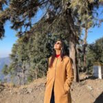 Mugdha Chaphekar Instagram - Gratitude 2023🌻✨ . . . @styling.your.soul @shop.dlanxa @chkokko