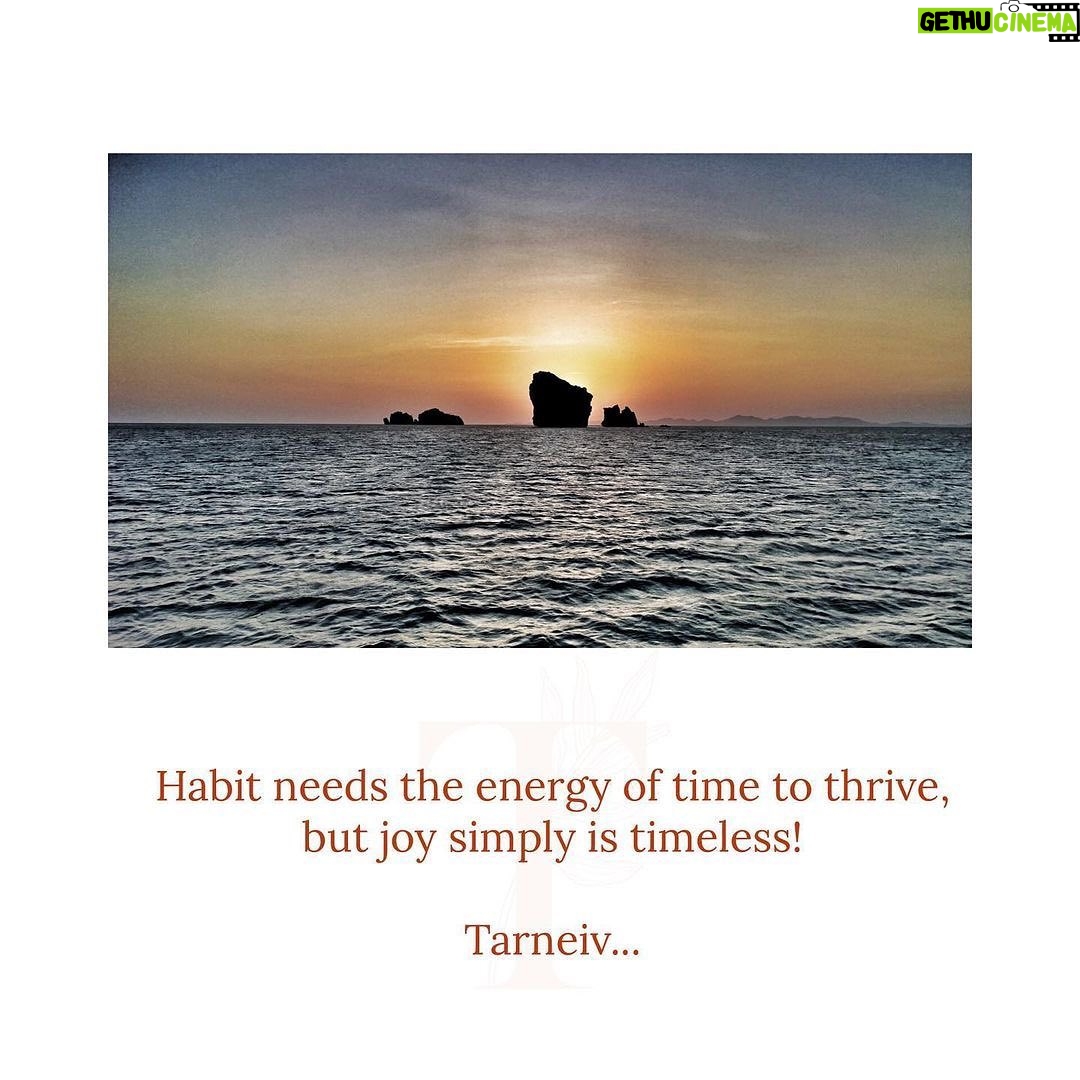 Mugdha Godse Instagram - ‘Timeless Joy’ ✨ In the Master’s words ✨ @belly_group 🙏🏽🙏🏽🙏🏽 PC @jjvalaya_the.other.side #bellymeditation #bellygroup #bellymaster #tarneivji #belly #bliss #gratitude #grateful #forever #guru #guide #love #joy #peace #affirm #divine #mantra #chanting #pilgrimage #silence #myguru #alwaysthereforyou #blessings #poetry #words #magical #miraculous #profound #practice