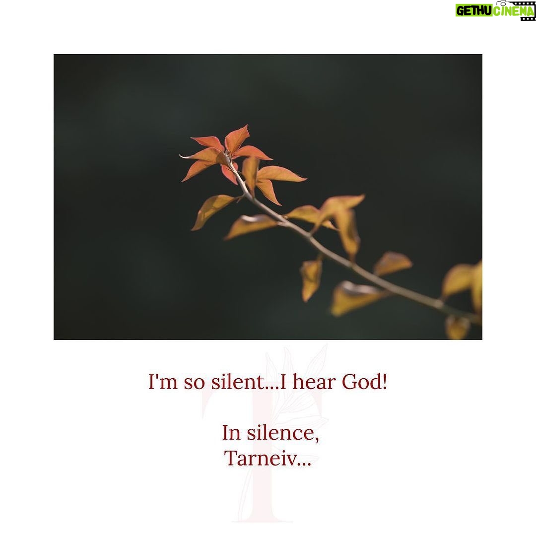 Mugdha Godse Instagram - @belly_group In the Masterβs words β¨ππ½ππ½ππ½ So Blessed π·ππ· PC @hemantjkhendilwal #bellymaster #tarneivji #bellymeditation #belly #silence #divine #chanting #guru #guide #gratitude #grateful #light #lighthouse #teacher #alwaysthereforyou #alwaysthere #alwaysthereforme #mantra #blessed #joy #peace #love #faith