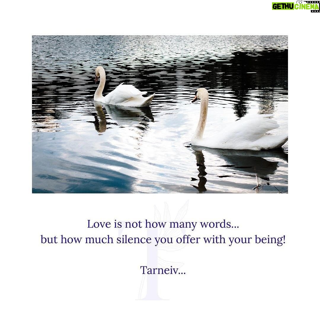 Mugdha Godse Instagram - @belly_group In the Master’s profound words 🌹🌹🌹 PC @__anneeka__ #bellymaster #tarneivji #belly #bliss #bellygroup #blessed #meditation #bellymeditation #master #guru #gratitude #faith #trust #practice #joy #purebliss #pure #divine #mantra #silence