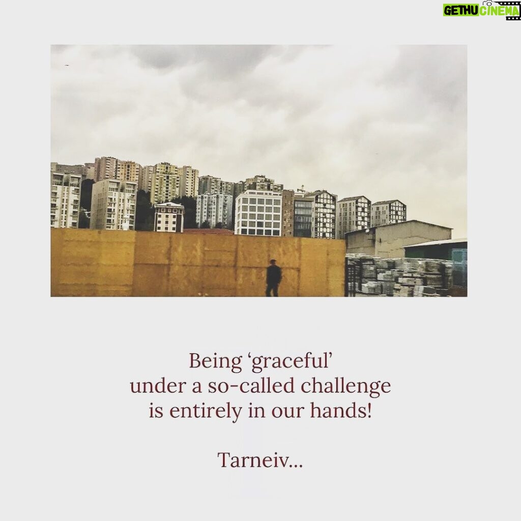 Mugdha Godse Instagram - Be graceful… 🙏🏽🙏🏽🙏🏽 Beautiful words written by my beloved master ‘Tarneiv ji’… 🙏🏽🙏🏽🙏🏽❤️❤️❤️ @belly_group PC @jjvalaya_the.other.side #tarneivji #tarneiv #master #guruji #gratitude #love #bellymaster #be #blissful #bliss