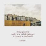 Mugdha Godse Instagram - Be graceful… 🙏🏽🙏🏽🙏🏽 Beautiful words written by my beloved master ‘Tarneiv ji’… 🙏🏽🙏🏽🙏🏽❤️❤️❤️ @belly_group PC @jjvalaya_the.other.side #tarneivji #tarneiv #master #guruji #gratitude #love #bellymaster #be #blissful #bliss