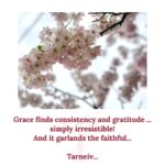 Mugdha Godse Instagram - Grace… 💕🙏 Poetry by my beloved Master Tarneiv… ji’ Always in Gratitude 🙏🏽🙏🏽🙏🏽 #tarneivji #bellymaster #guru #guide #light #bellymeditation #gratitude #grateful #love #joy #peace #chanting #silence #faith #trust #blessings PC @__anneeka__